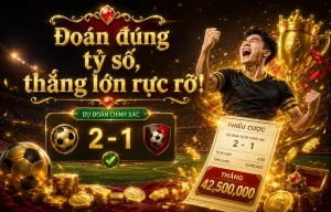 myalchemyloft Thể Thao